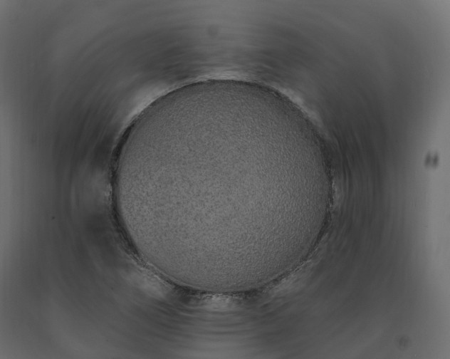 X0000091561266200708241808