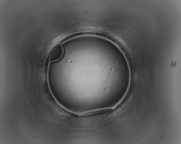 X0000091561267200708241808