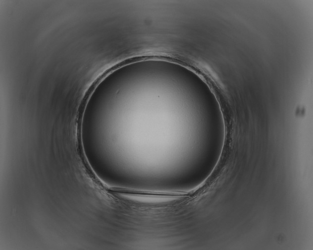 X0000091561268200708241808