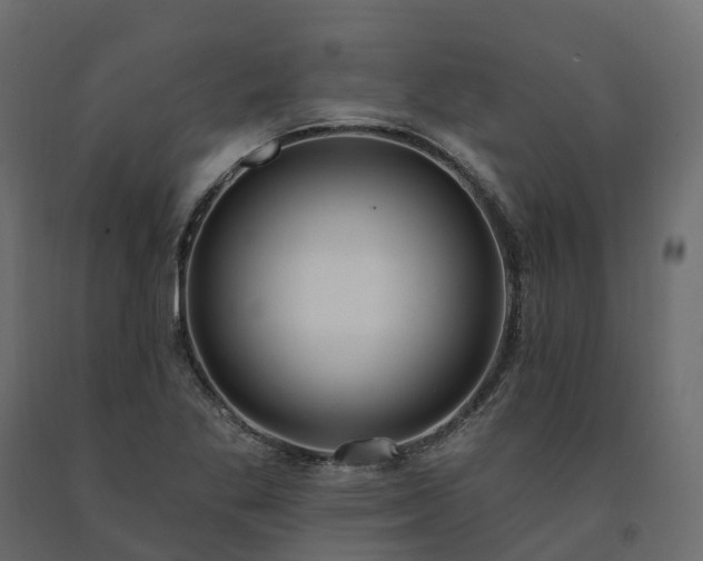 X0000091561269200708241808