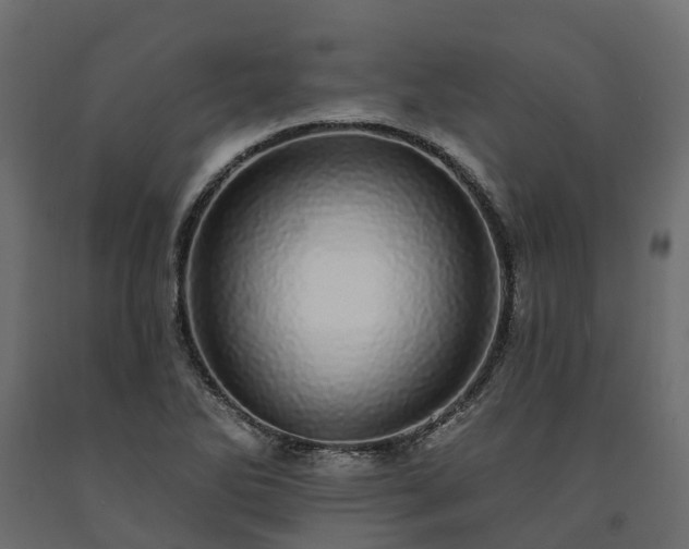 X0000091561270200708241808