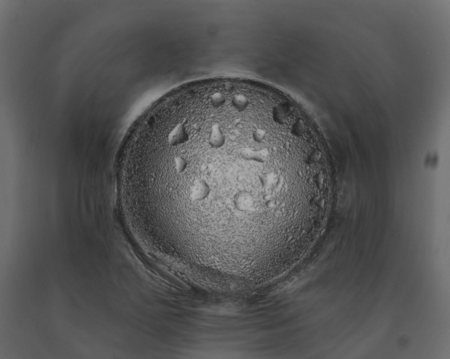 X0000091561271200708241808