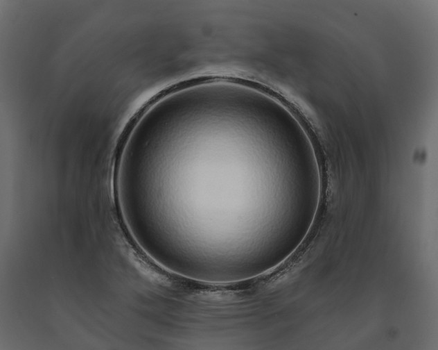 X0000091561272200708241808