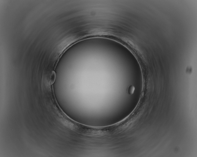 X0000091561273200708241808