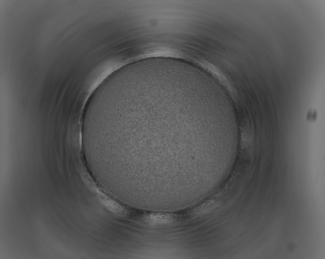 X0000091561274200708241808