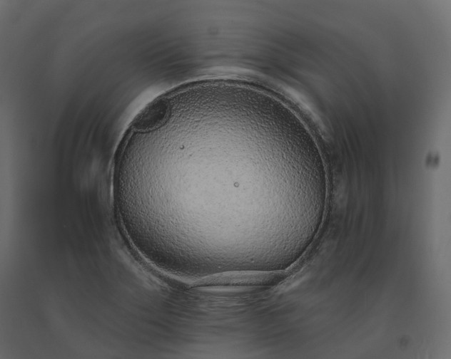 X0000091561275200708241808