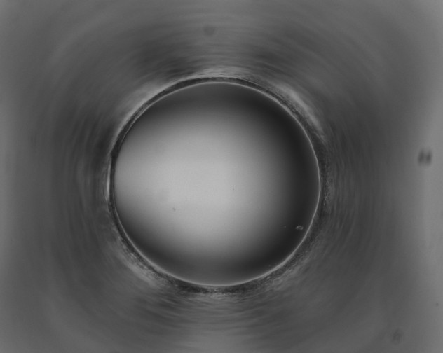 X0000091561276200708241808