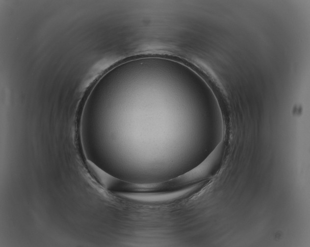 X0000091561277200708241808