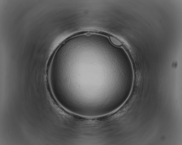 X0000091561279200708241808