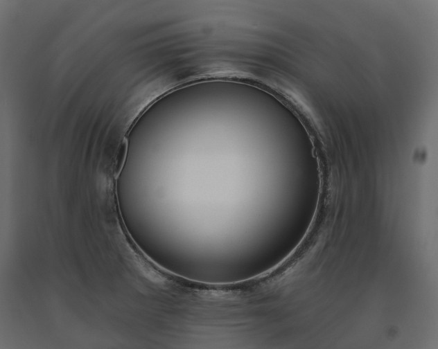 X0000091561281200708241808