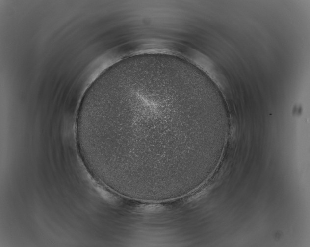 X0000091561282200708241808