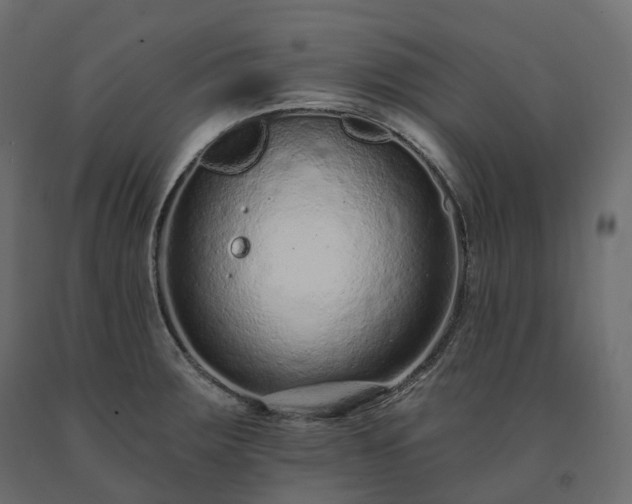 X0000091561283200708241808