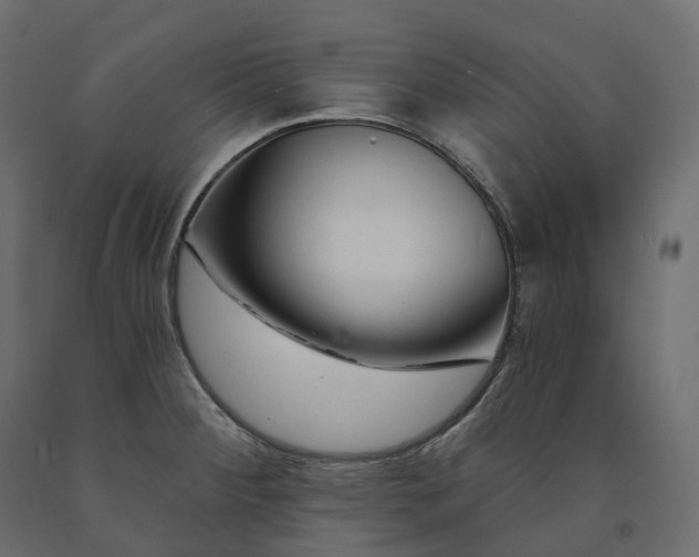 X0000091561284200708241808