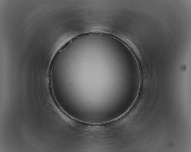 X0000091561285200708241808