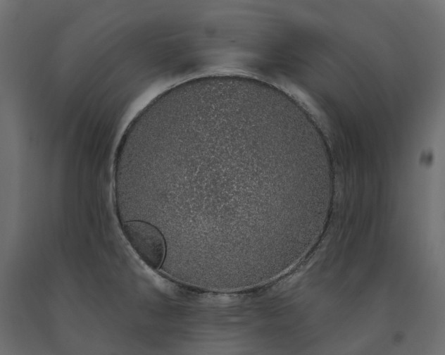 X0000091561286200708241808