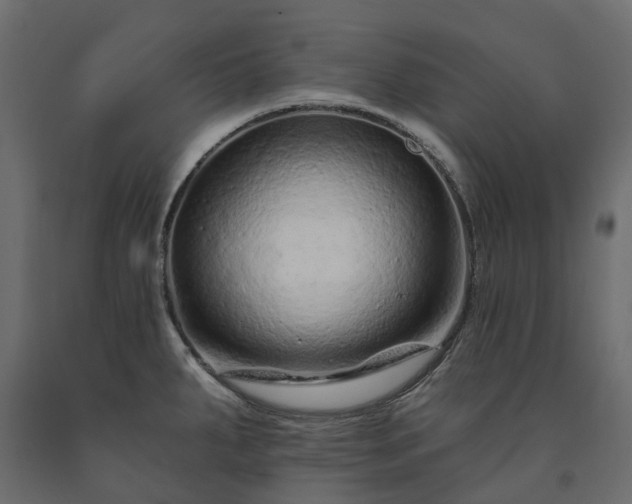 X0000091561287200708241808