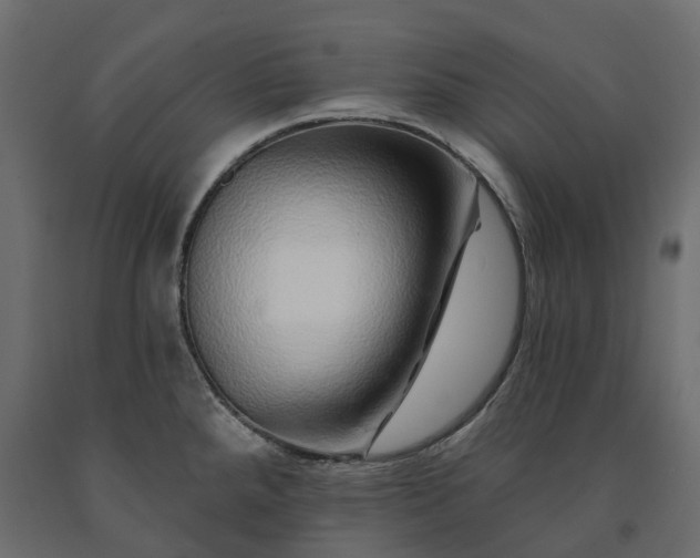 X0000091561288200708241808