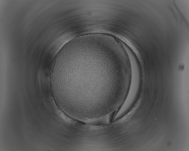 X0000091561289200708241808