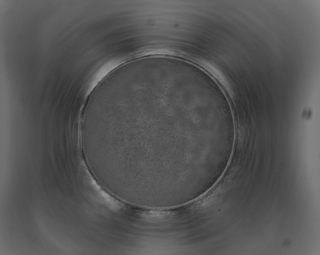 X0000091561290200708241808