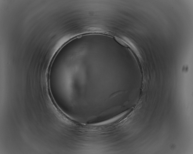 X0000091561291200708241808