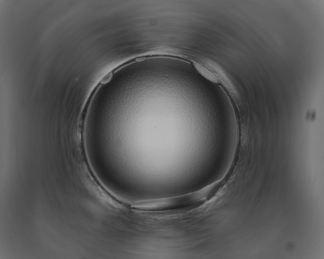 X0000091561292200708241808