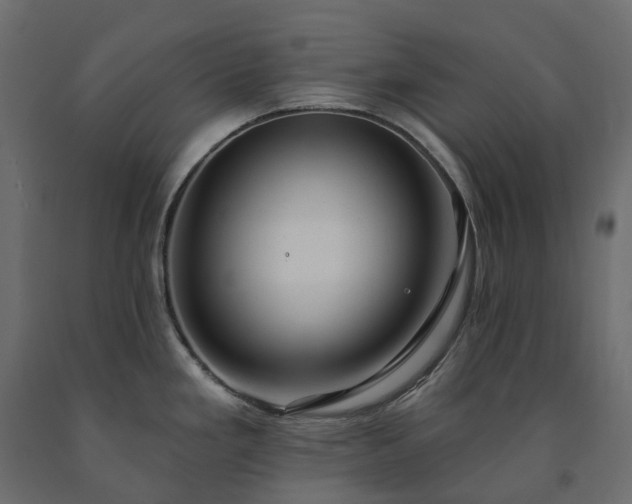 X0000091561293200708241808