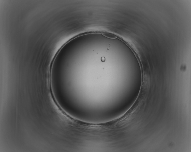 X0000091561295200708241808