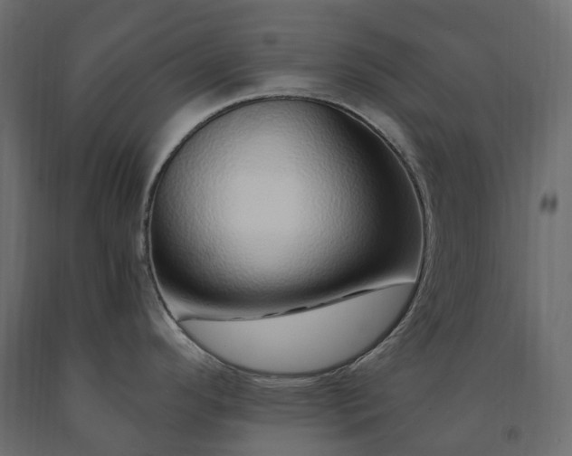 X0000091561296200708241808