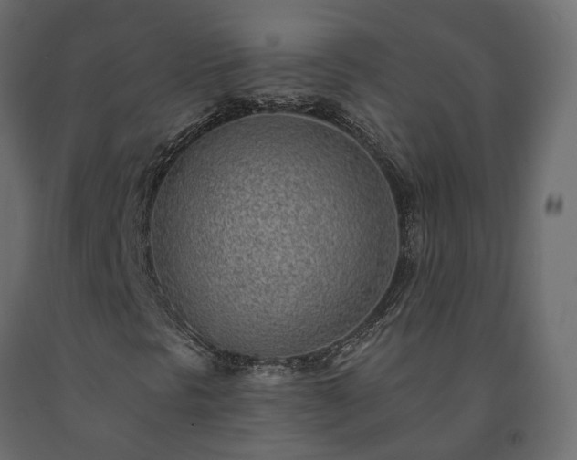 X0000091561297200708241807