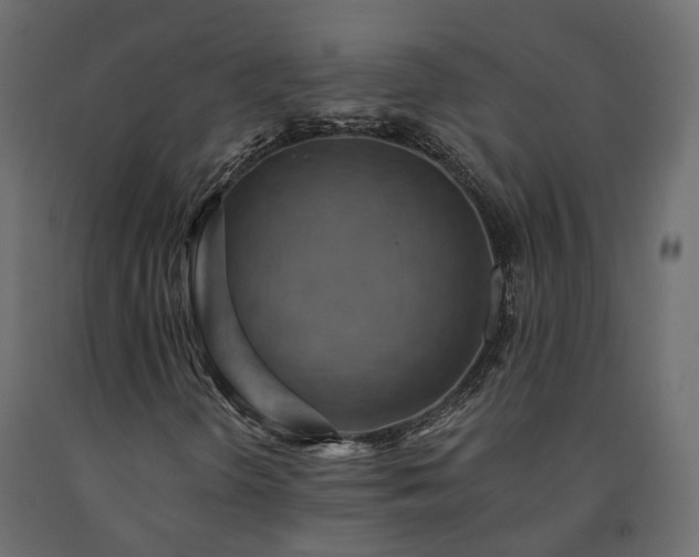 X0000091561298200708241807