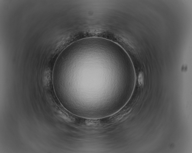 X0000091561299200708241807