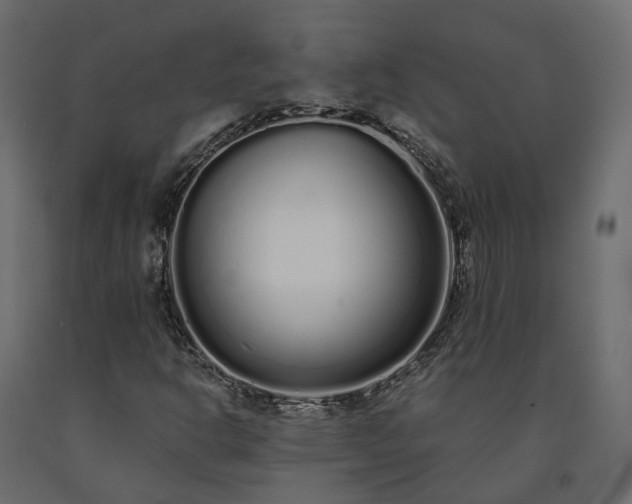 X0000091561302200708241807