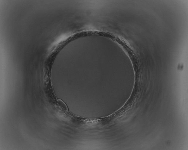 X0000091561303200708241807