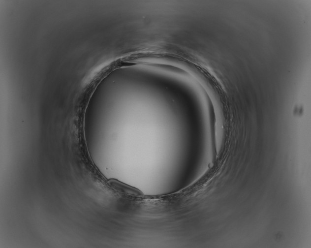 X0000091561304200708241807