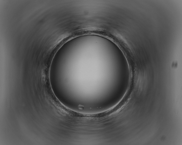 X0000091561305200708241807