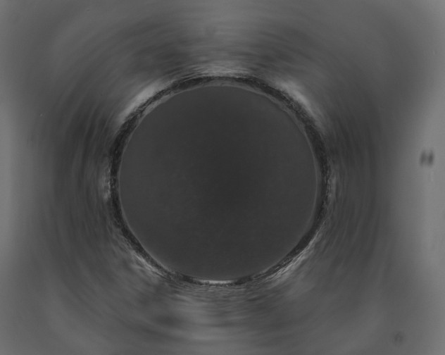 X0000091561306200708241807