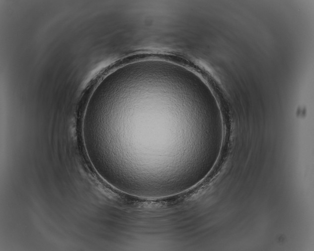 X0000091561307200708241807