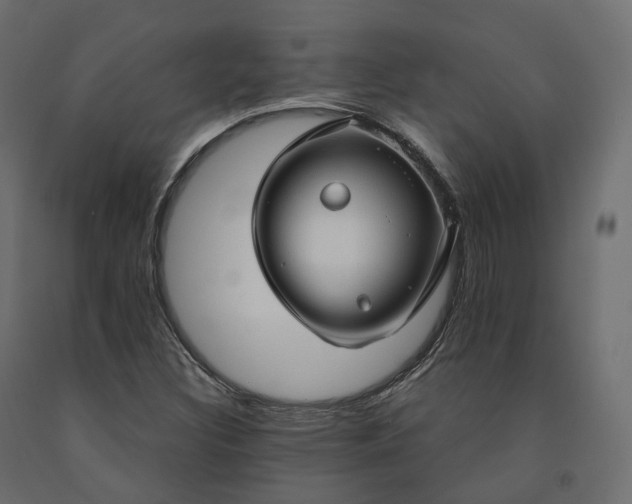 X0000091561308200708241807