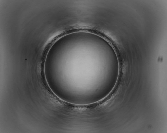 X0000091561309200708241807