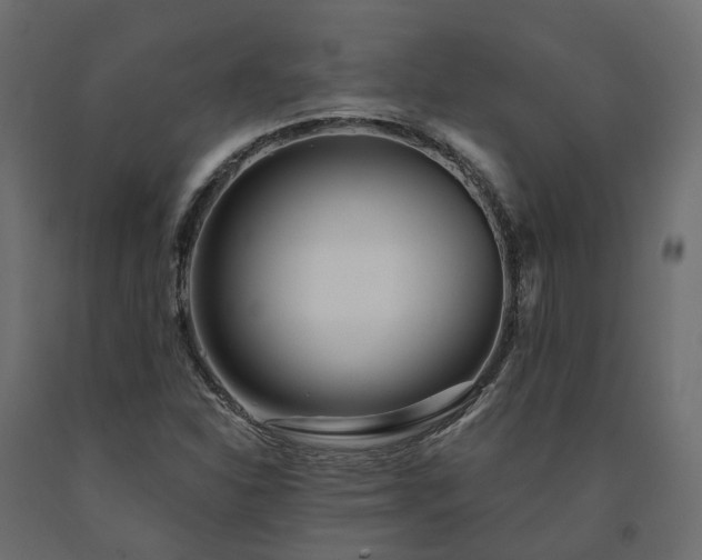 X0000091561310200708241807