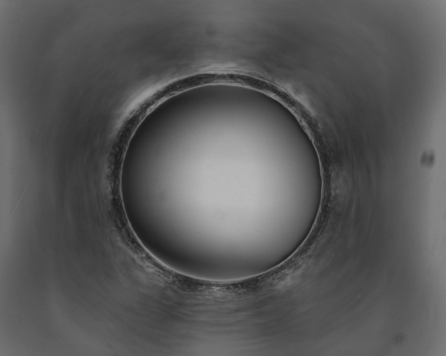 X0000091561311200708241807