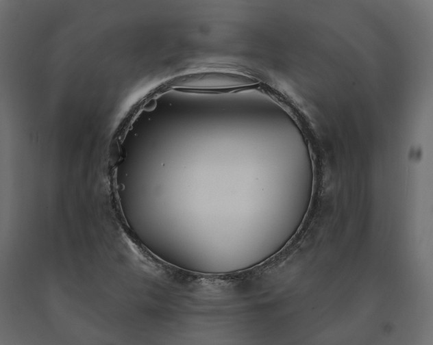 X0000091561312200708241807