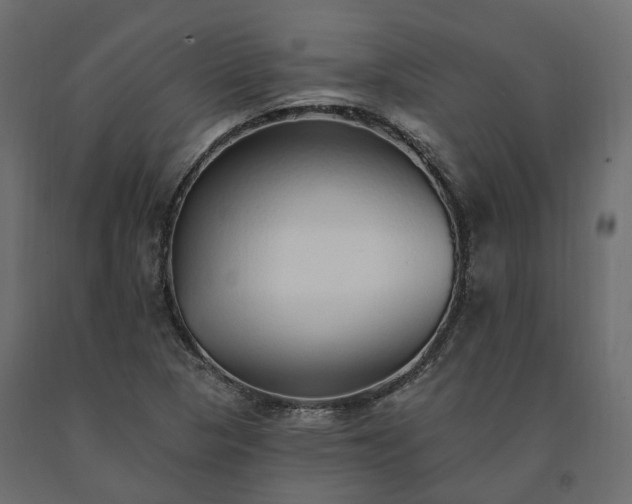 X0000091561313200708241807