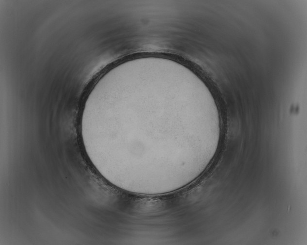 X0000091561314200708241807