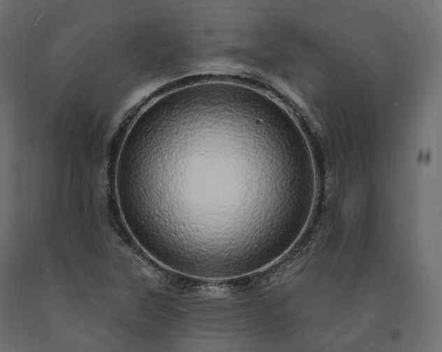 X0000091561315200708241807