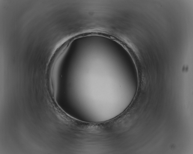 X0000091561316200708241807