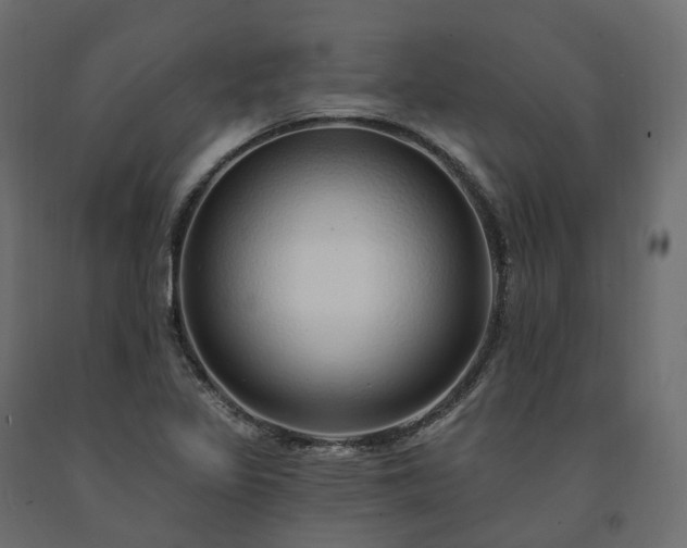 X0000091561317200708241807