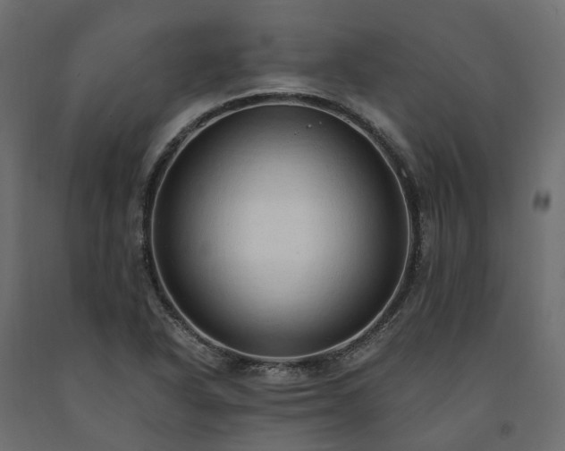 X0000091561318200708241807