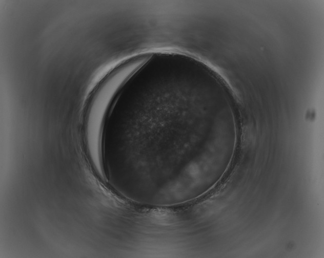 X0000091561319200708241807