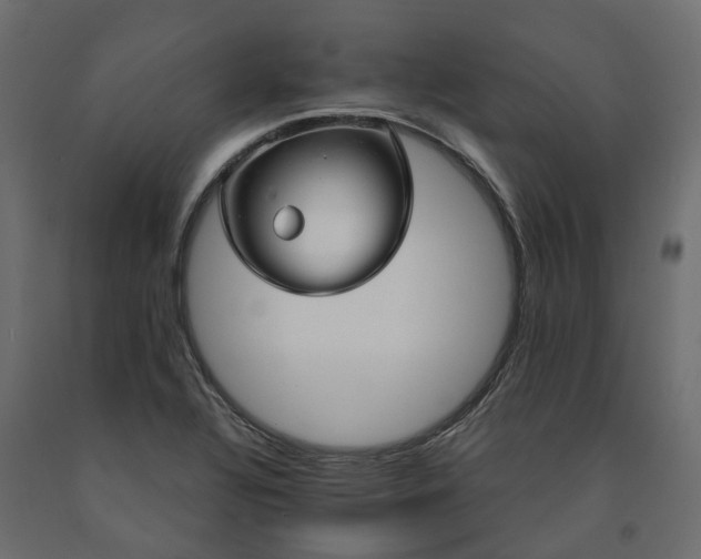 X0000091561320200708241807